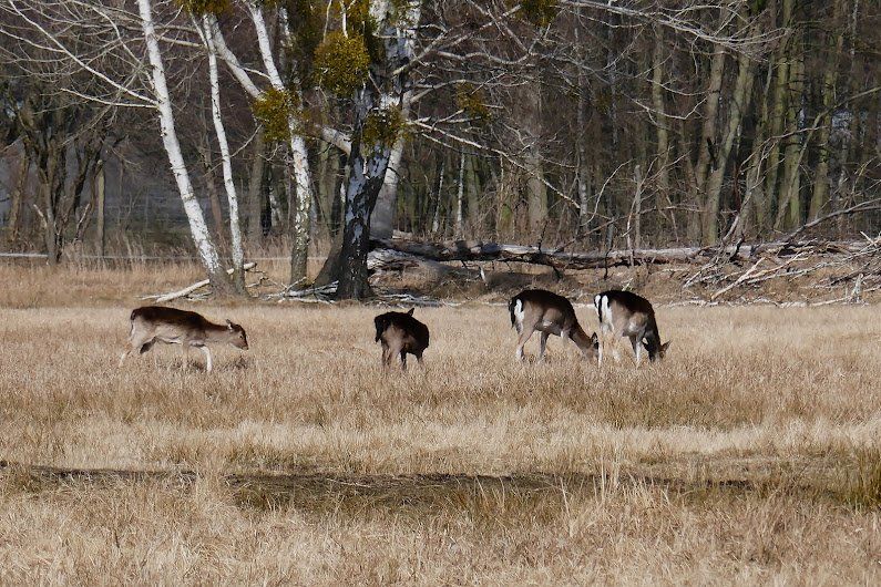 Naturpark Glauer Tal