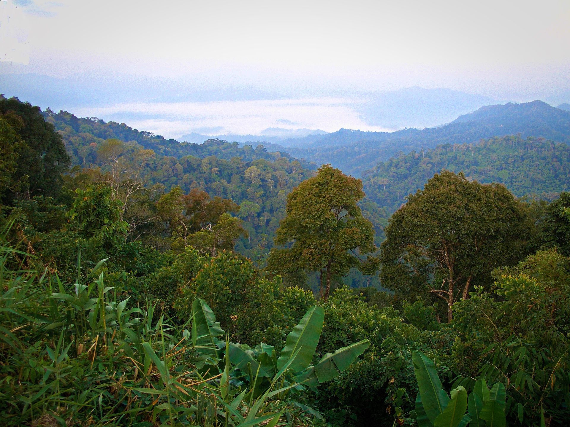 Kaeng Krachan Nationalpark