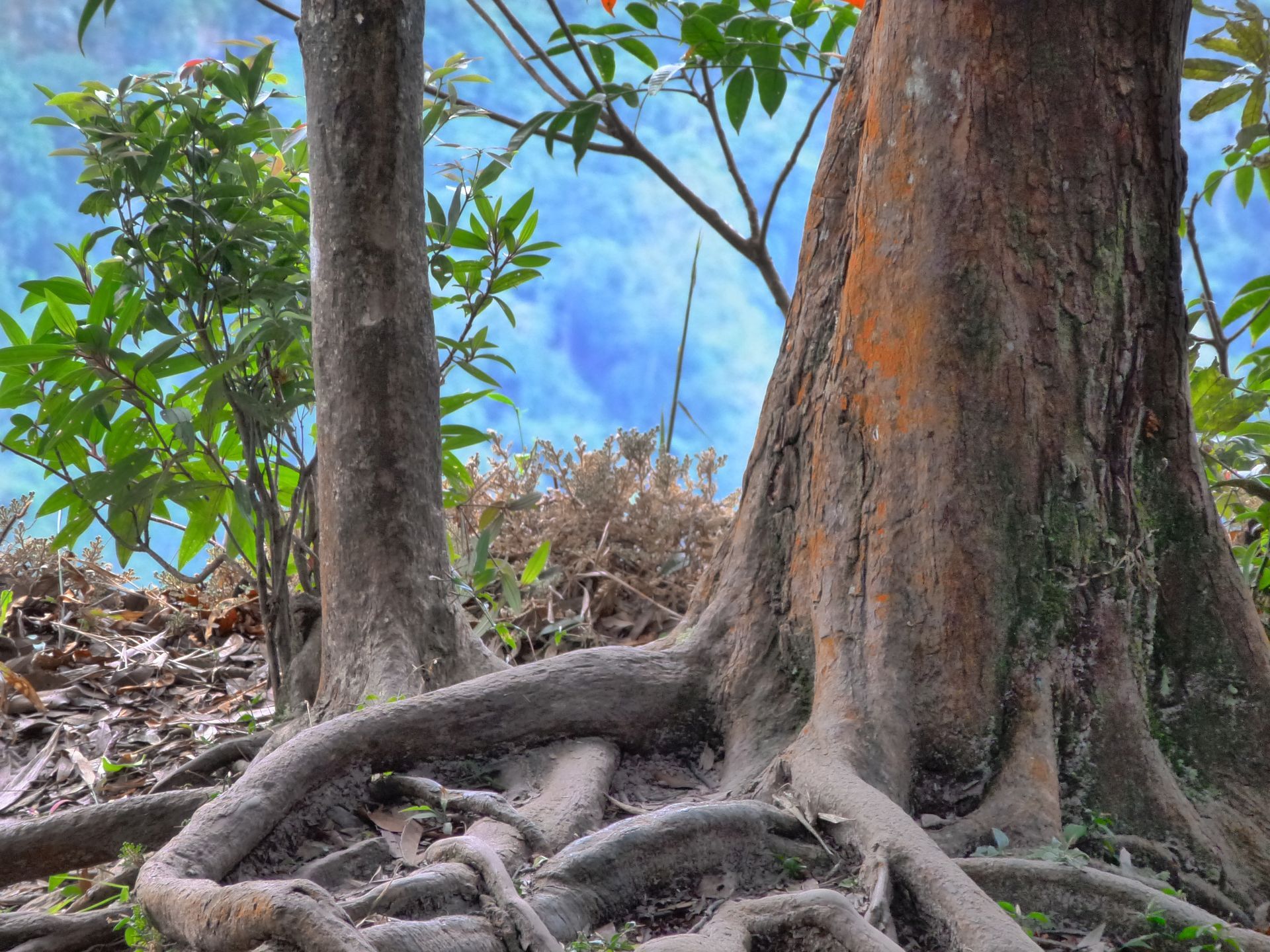 Khao Yai Nationalpark