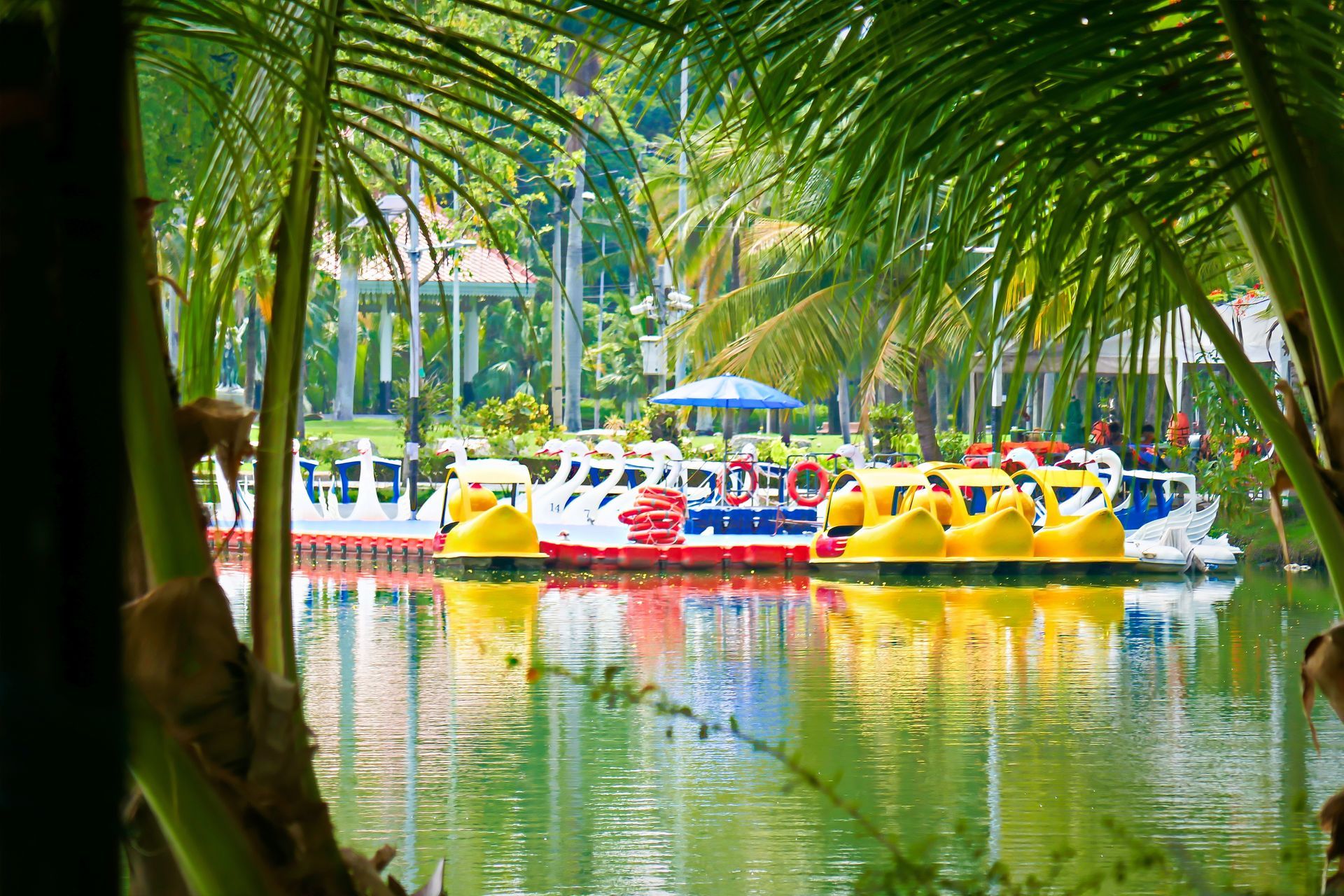 Lumphini Park Bangkok