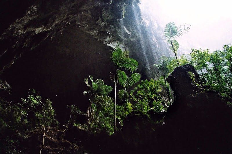 Deer Cave im Mulu Nationalpark