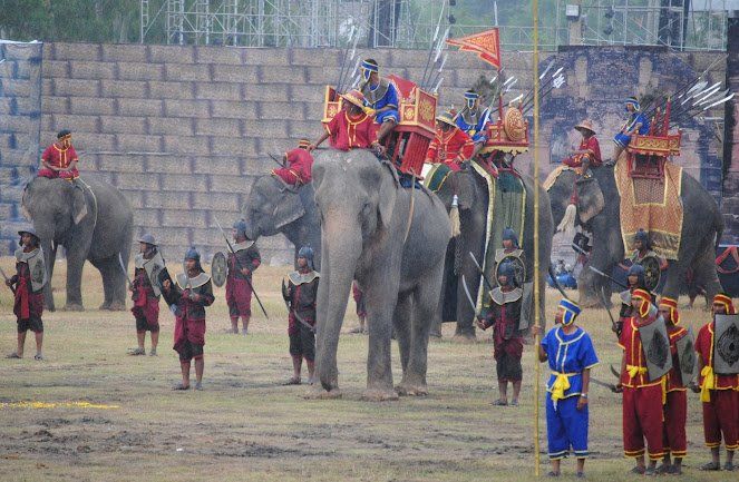 Surin Elephant Roundup