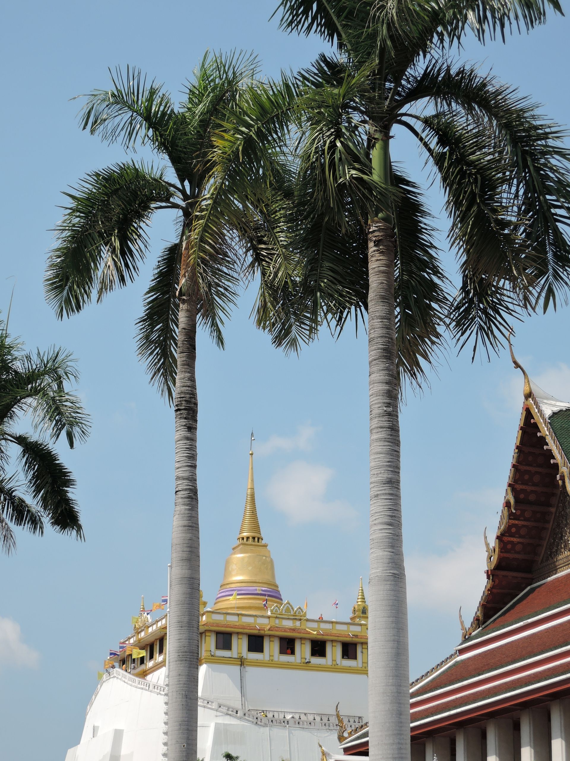 Wat Saket und Golden Mount