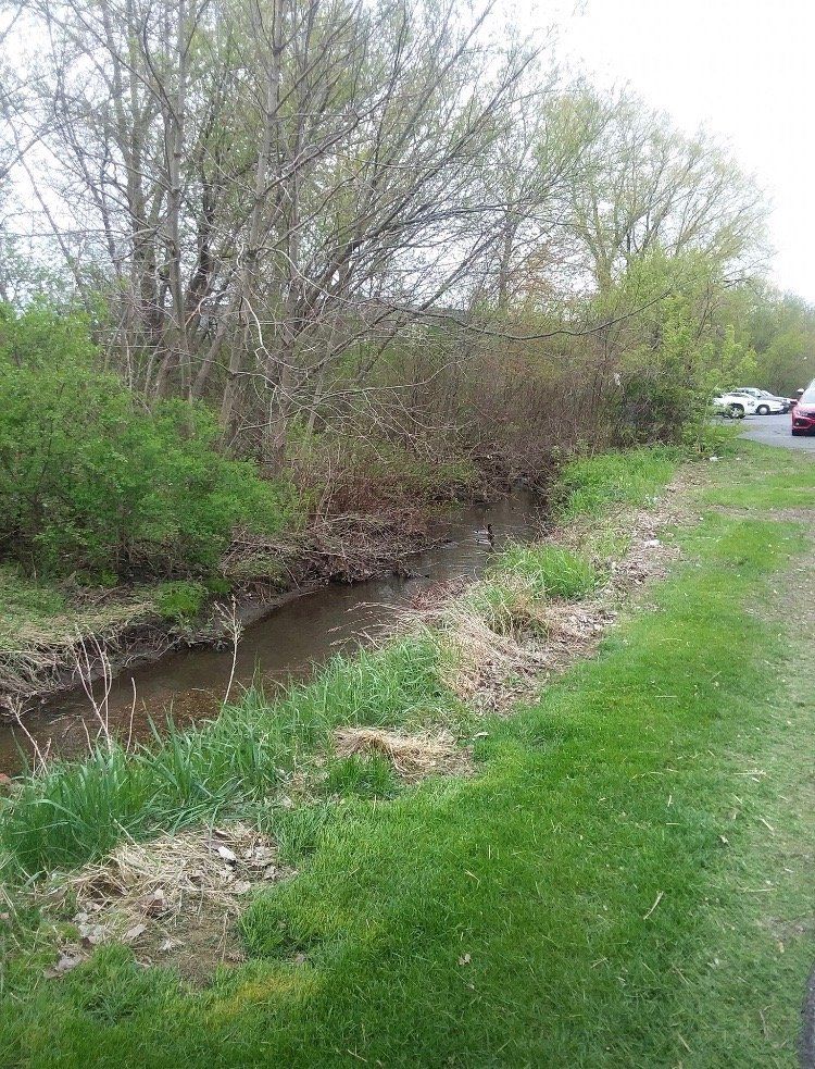 Monroe's Twining Terrace  grounds