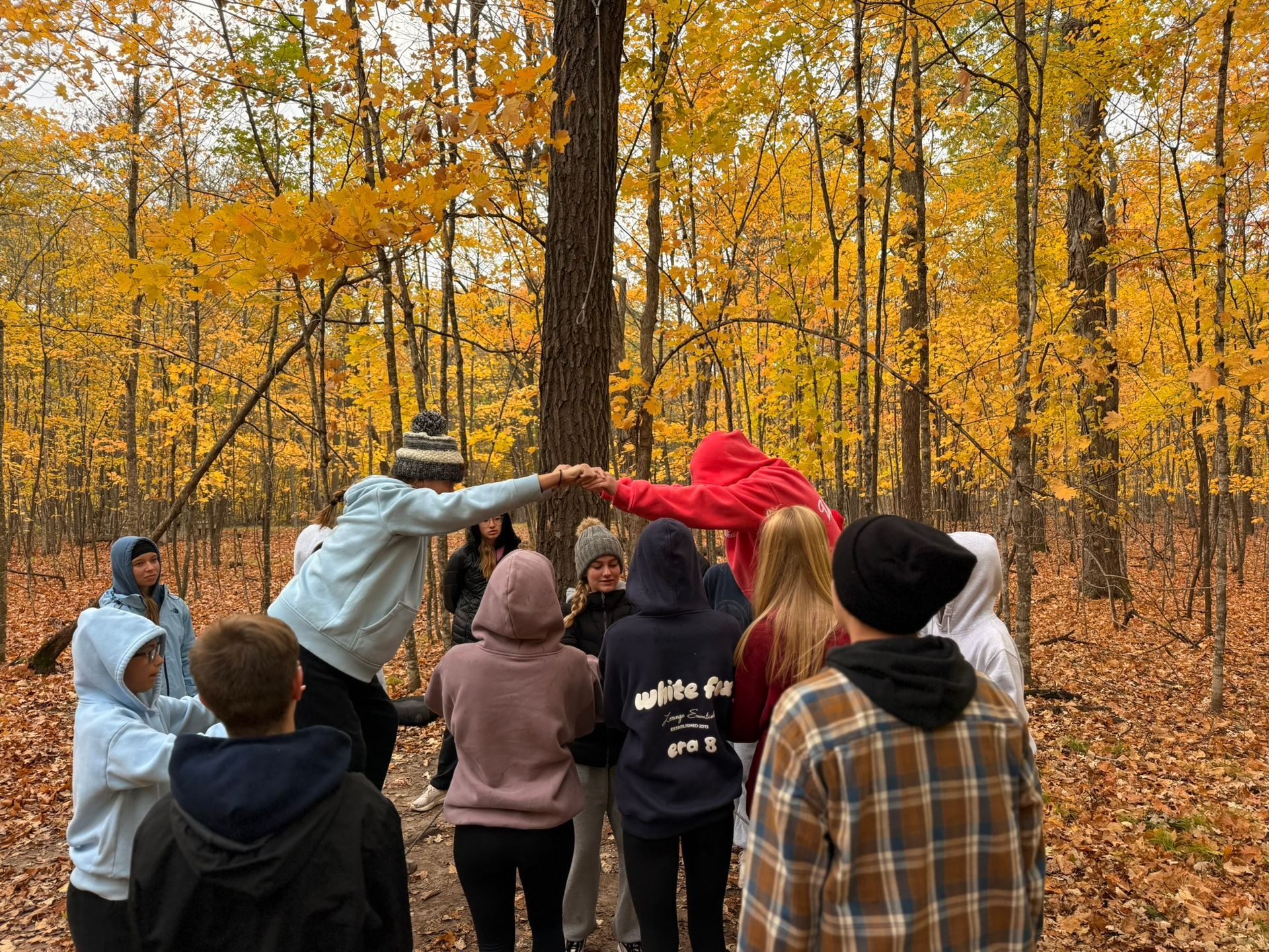 A group of young men are standing next to each other on a path in the woods.