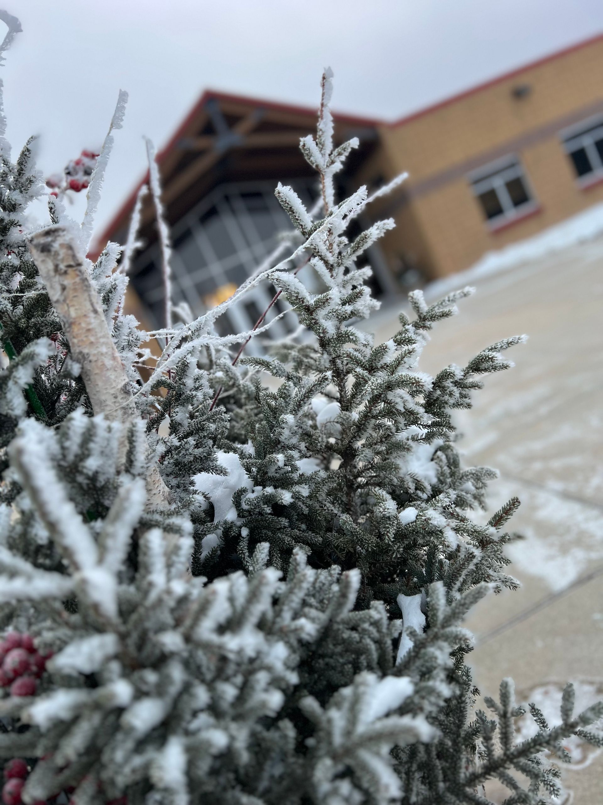 Autumn floral arrangement in front of a school entrance, featuring orange and yellow flowers and a white pumpkin.