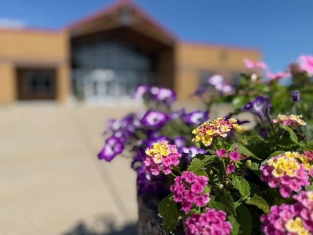 A blurry picture of flowers in front of a building