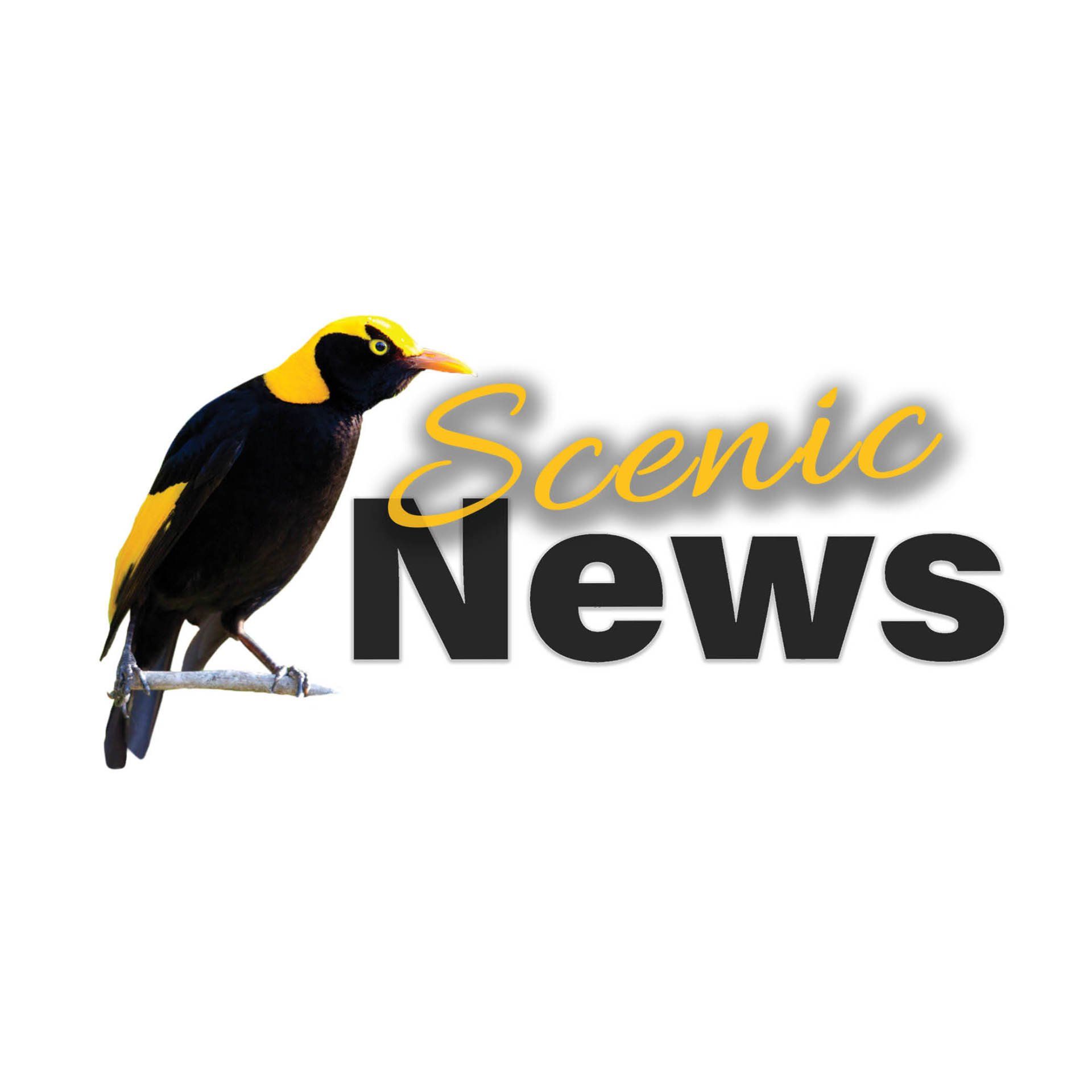 Logo Scenic News