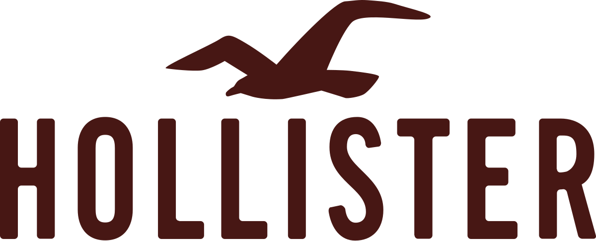 Hollister logo: dark brown seagull flying above the word "HOLLISTER".