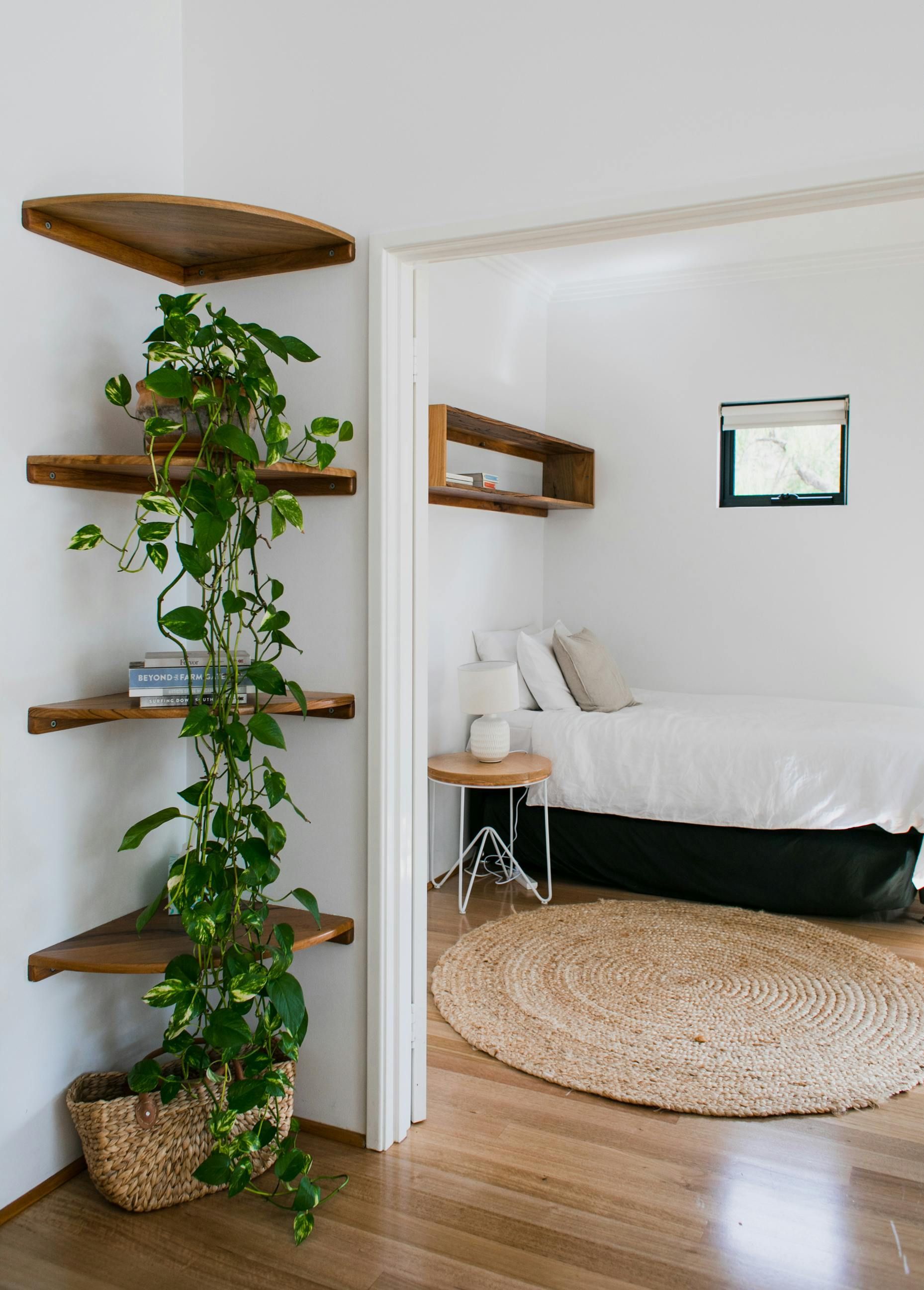 A bedroom with a bed , rug , shelves and a plant.