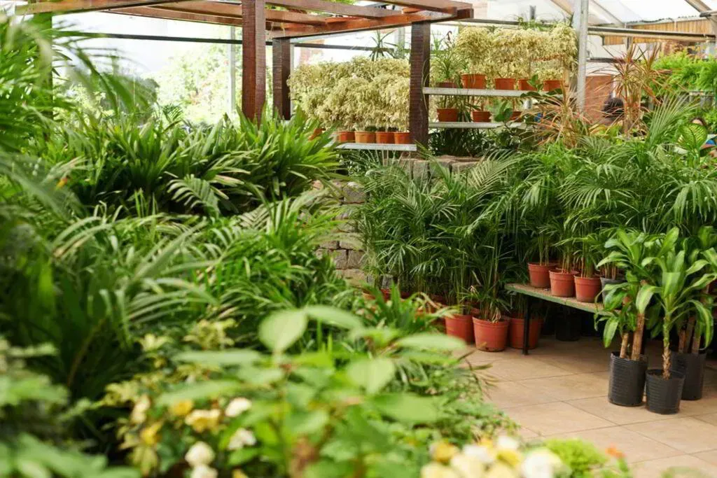 Greenhouse filled with various potted plants and shelves.