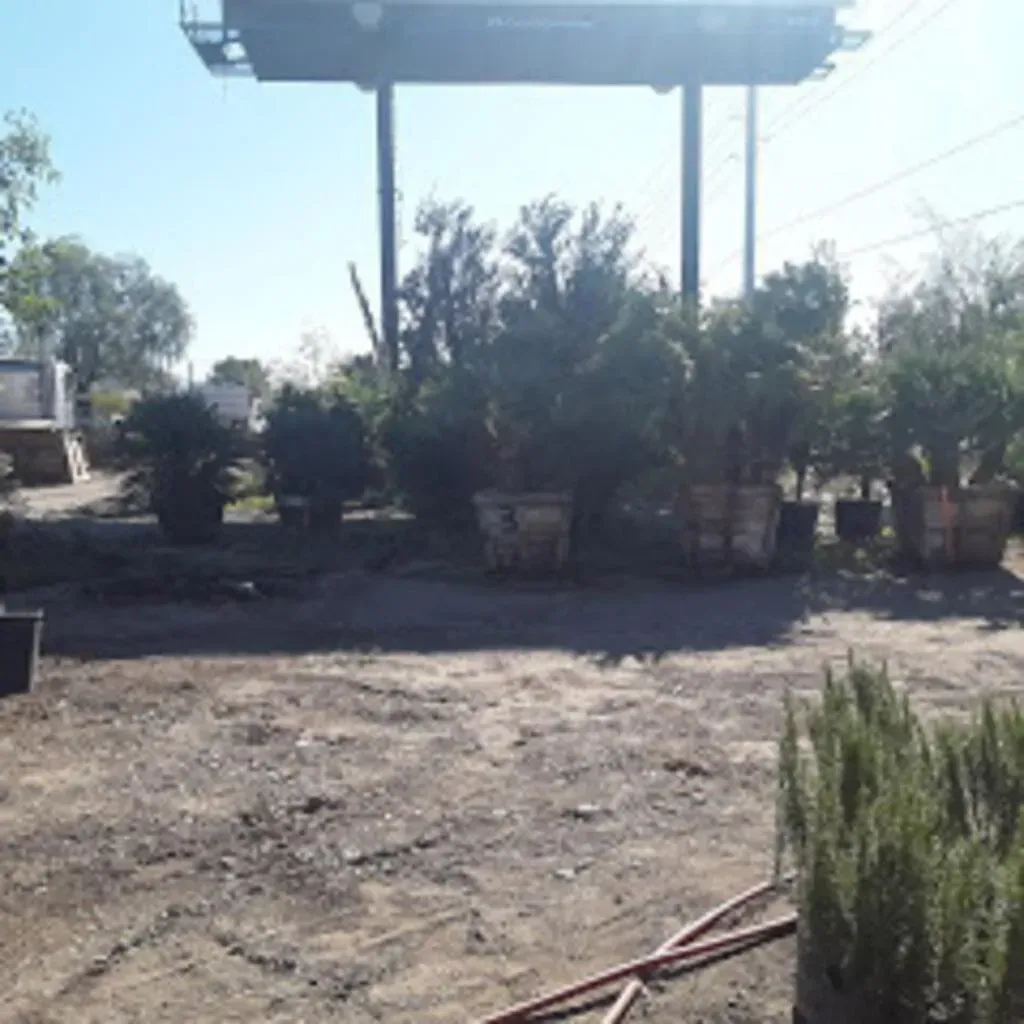A plant nursery with various potted trees and shrubs under a billboard on a sunny day.