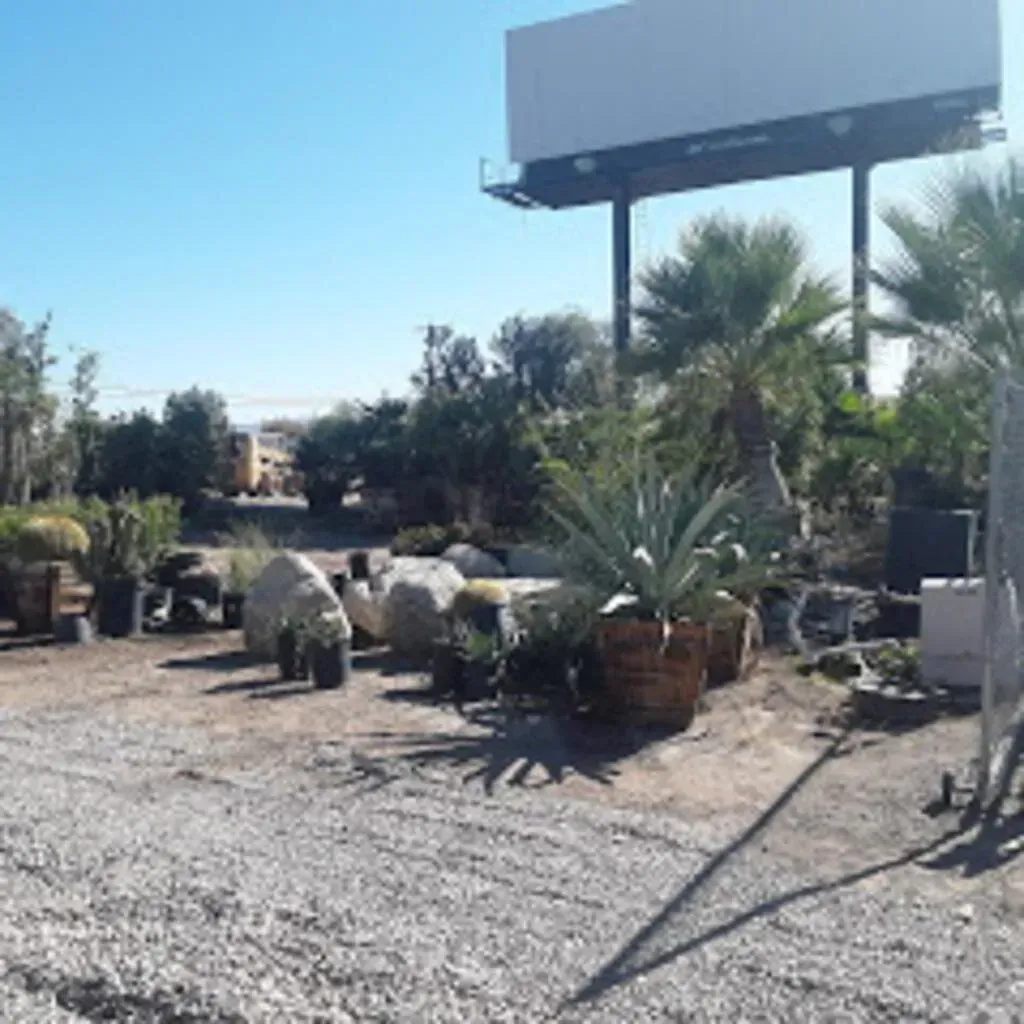 A plant nursery on a gravel lot under a large billboard. Palms, cacti, and large rocks are visible.