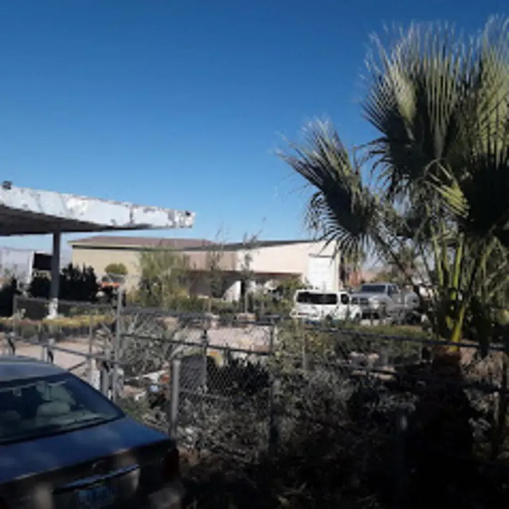 Car parked outside a plant nursery, with palm tree and clear blue sky.