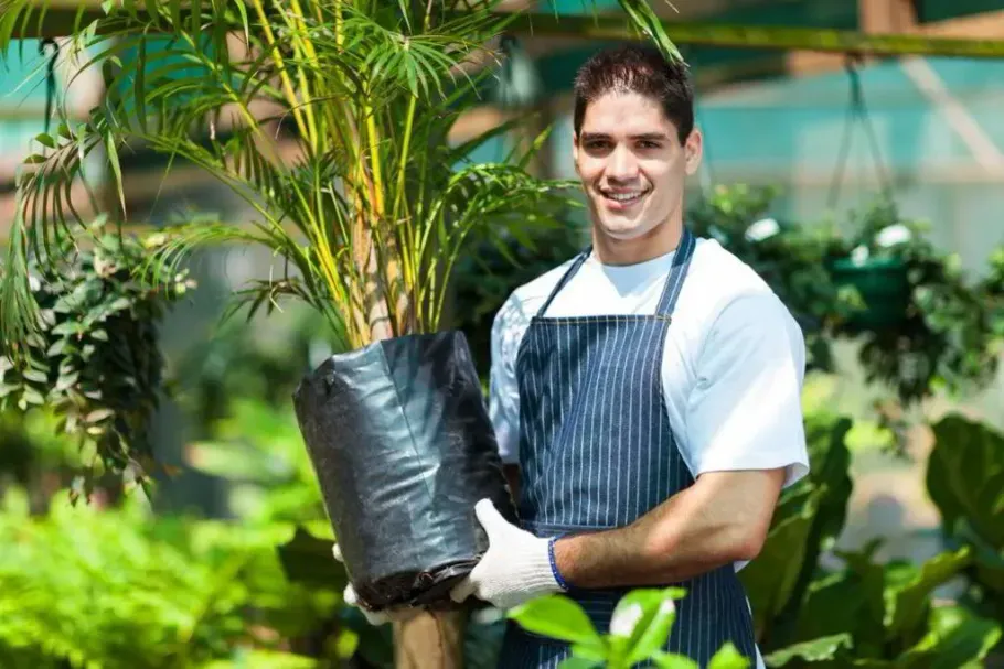 Man in apron holding a potted plant in a greenhouse; smiling.