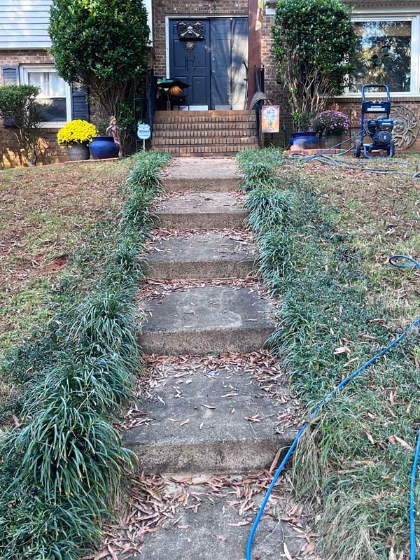 Concrete steps leading to a house with overgrown greenery on either side