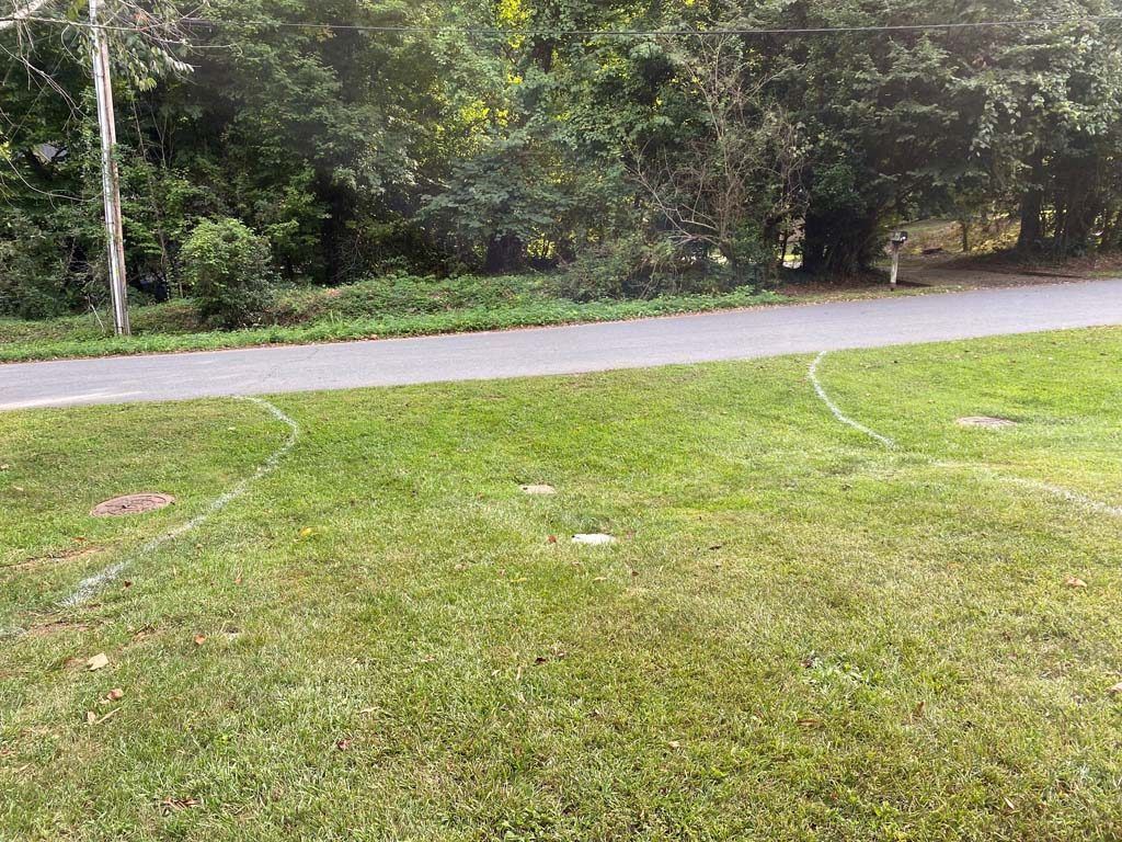 Green grass with white curved lines, a paved road, and trees