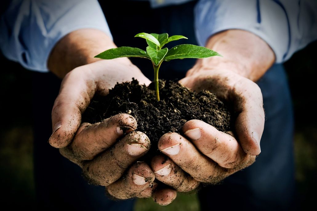 About WF Biggins Associates, Inc.