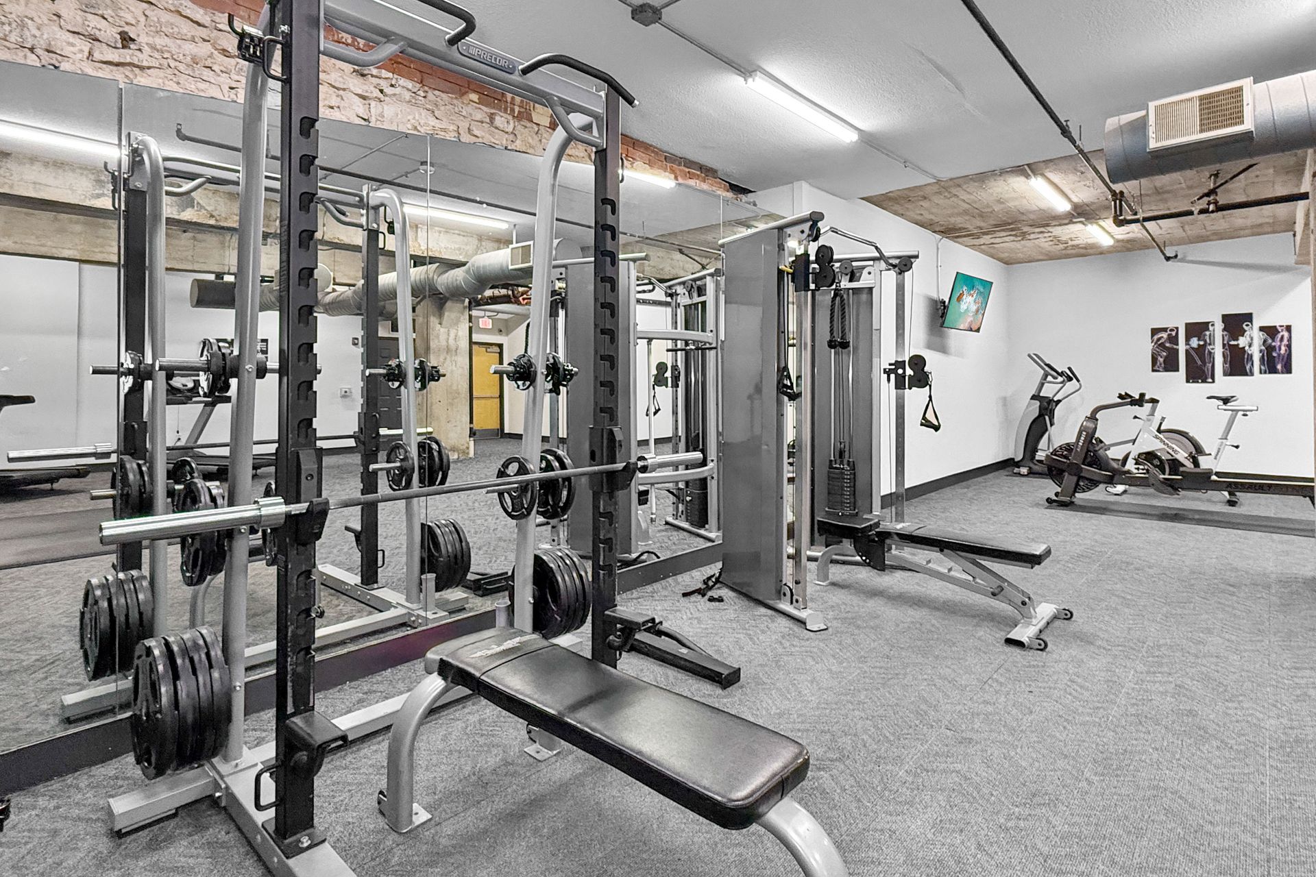 A gym featuring a squat rack, adjustable weight bench, functional trainer, and cardio equipment on a gray carpet floor.
