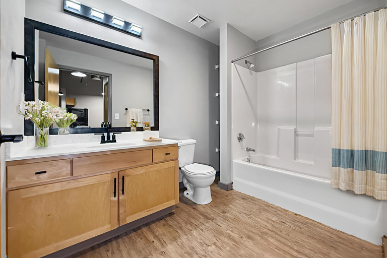 A brightly lit bathroom with a light wood vanity, black-framed mirror, white toilet, and a bathtub with a curtain.