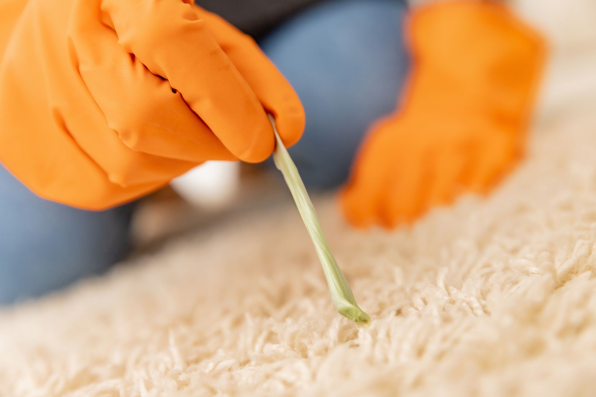 A person wearing orange gloves is cleaning a carpet with a toothbrush.
