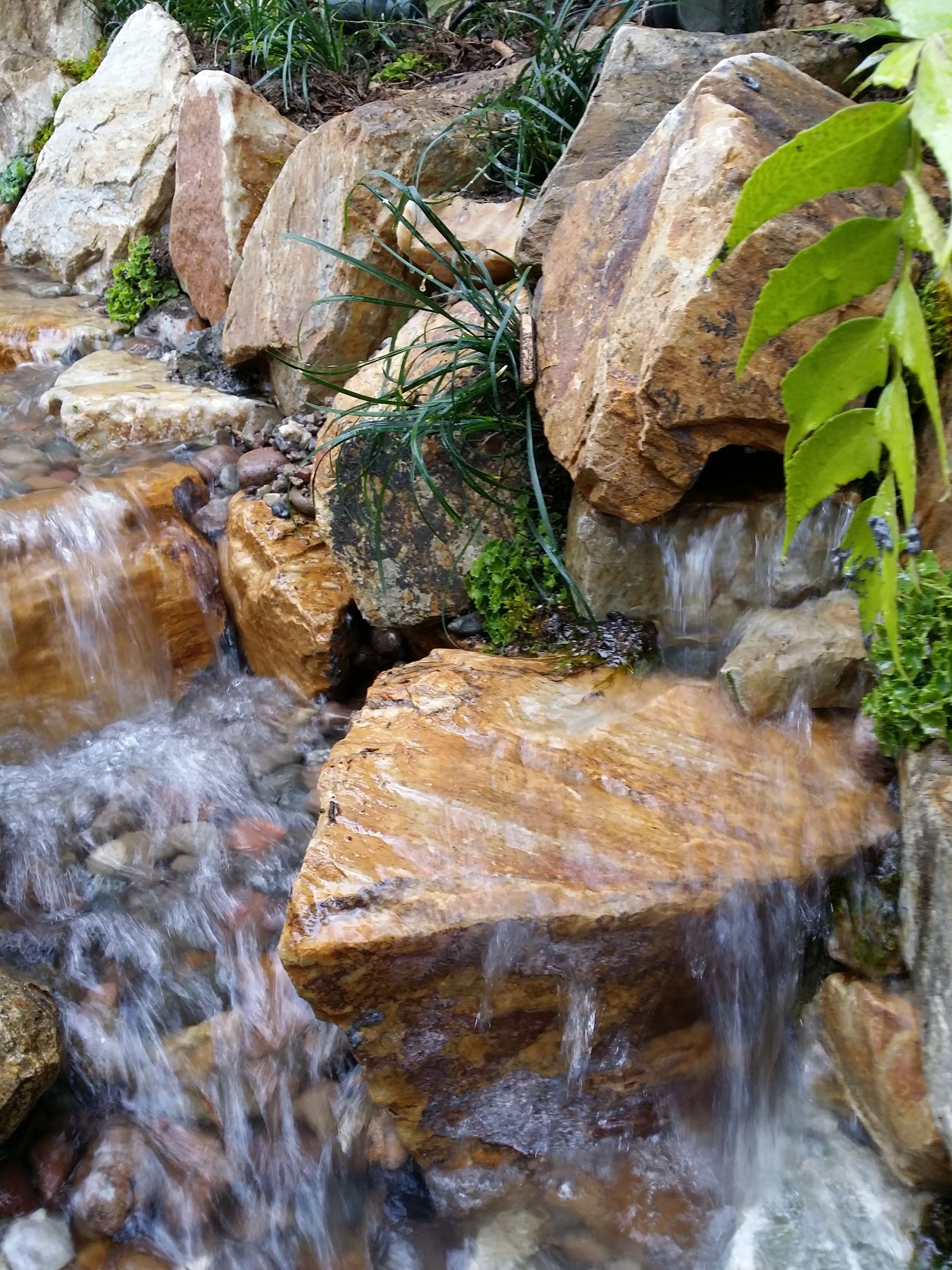 A waterfall is surrounded by rocks and plants in a garden.