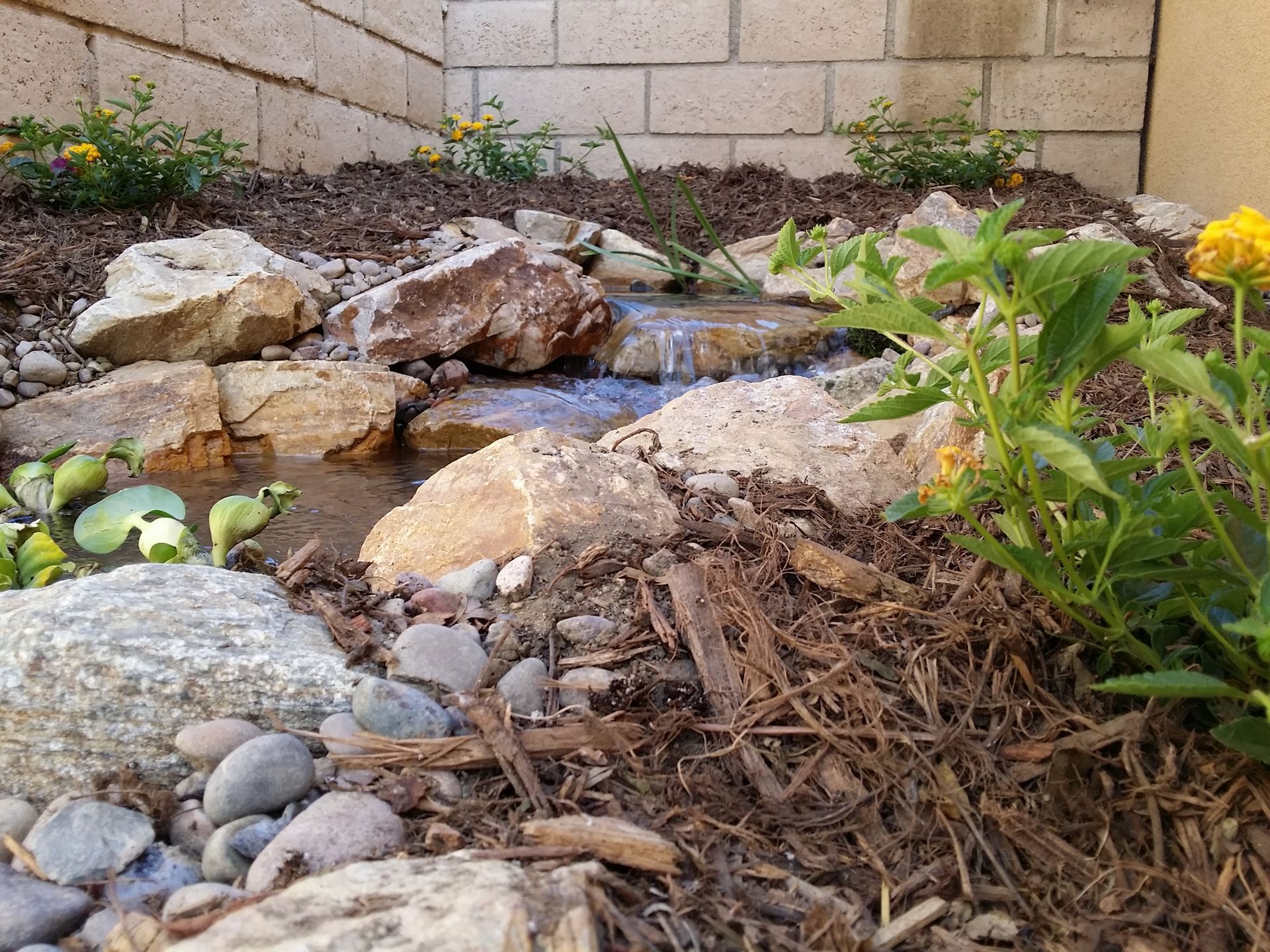 A small waterfall is surrounded by rocks and flowers