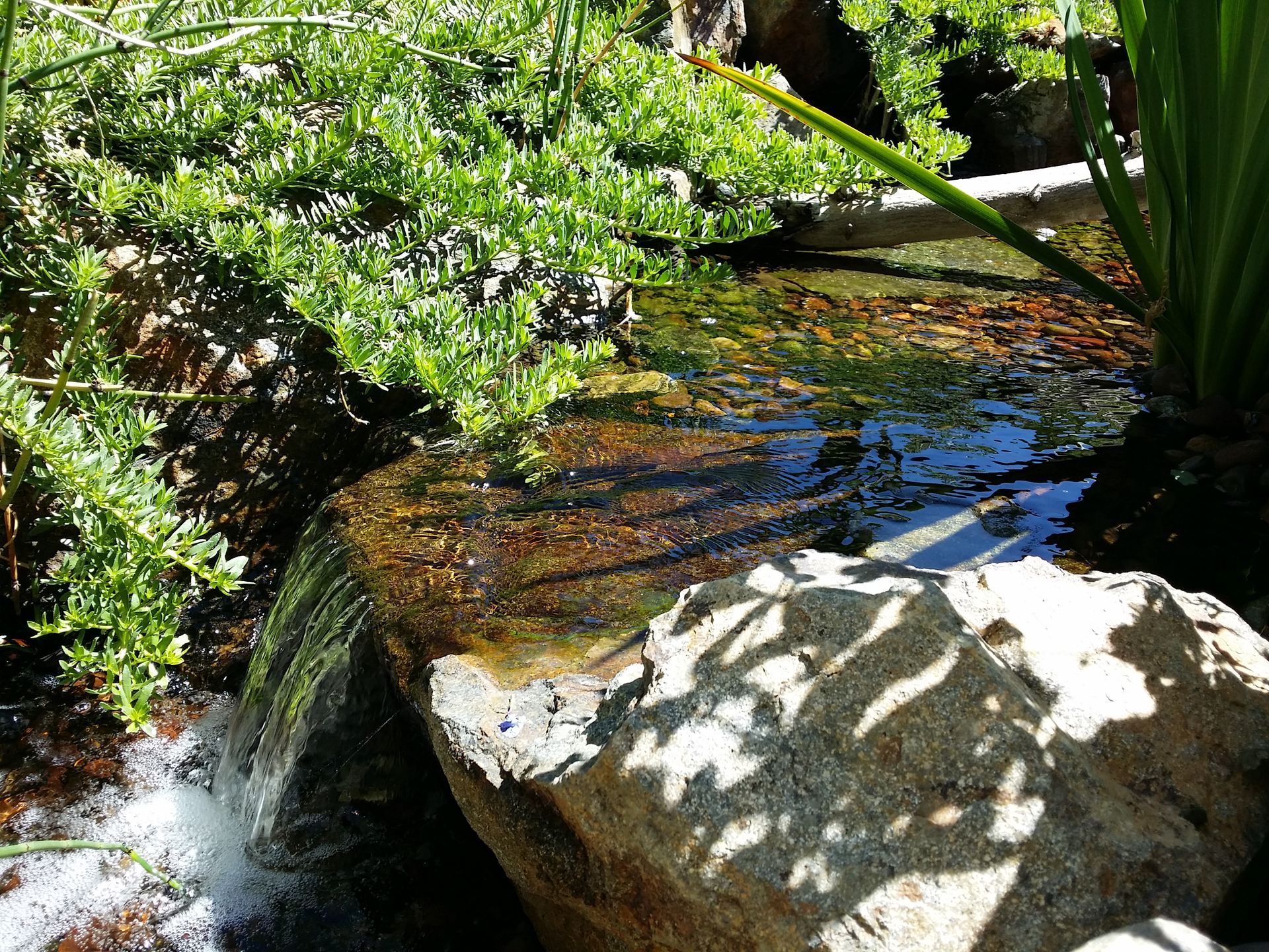 A small waterfall is surrounded by rocks and plants