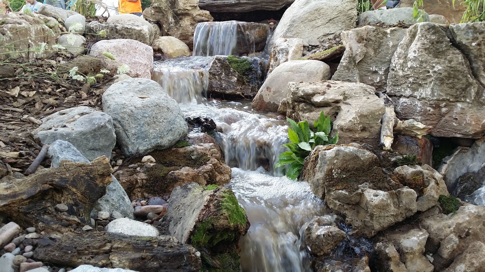 A small waterfall is surrounded by rocks and plants.