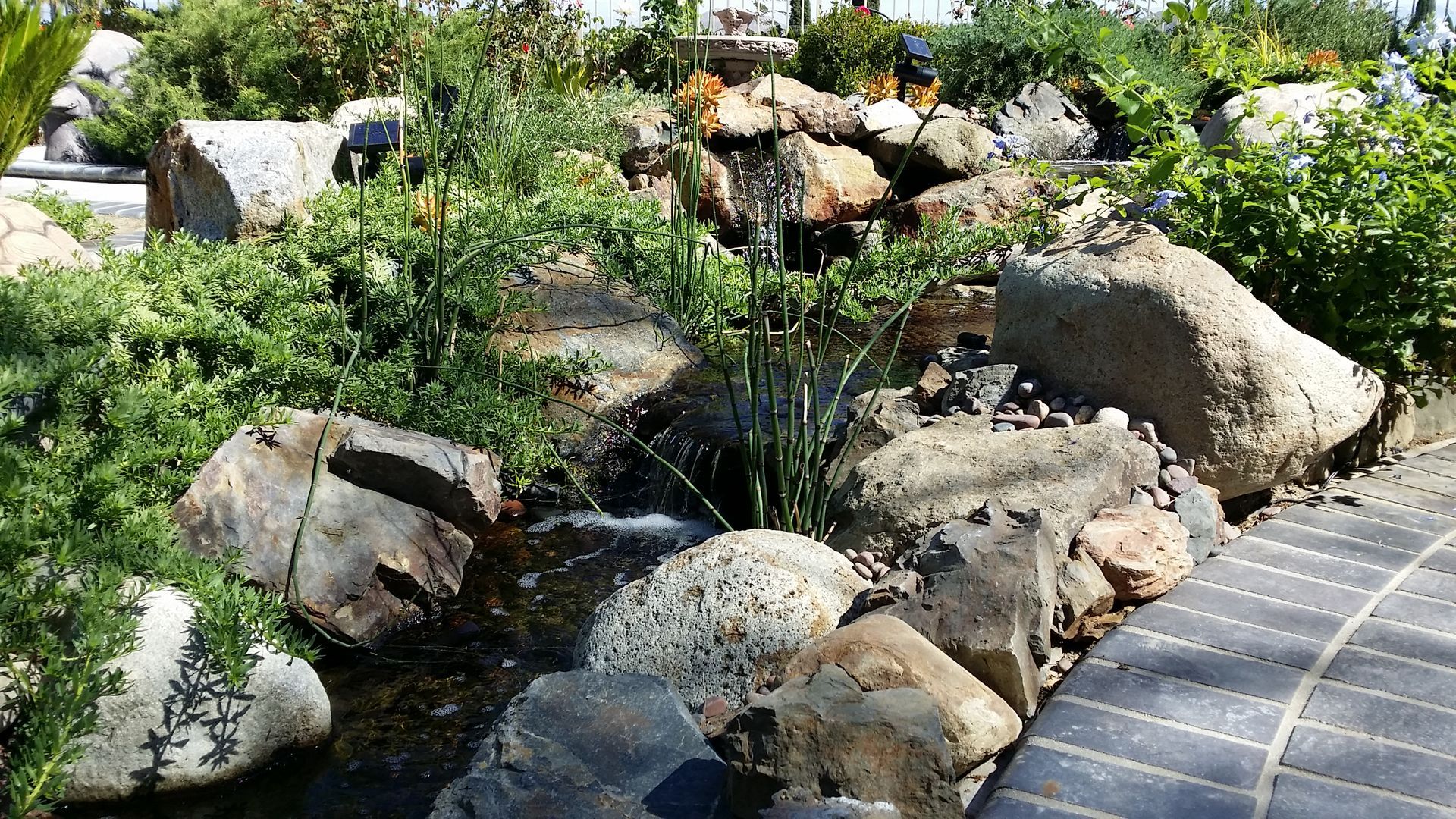 A waterfall is surrounded by rocks and plants in a garden.