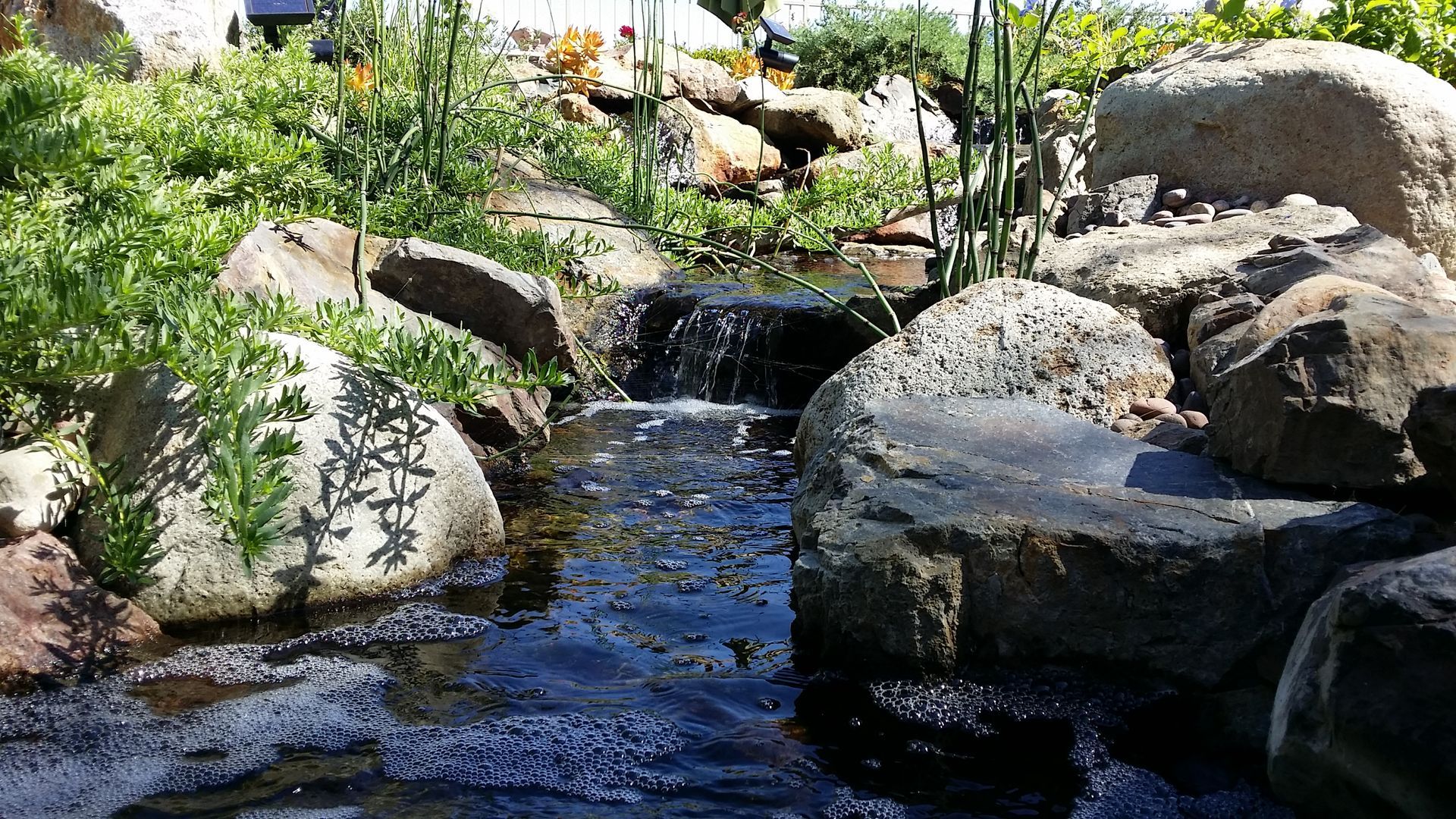 A small waterfall is surrounded by rocks and plants