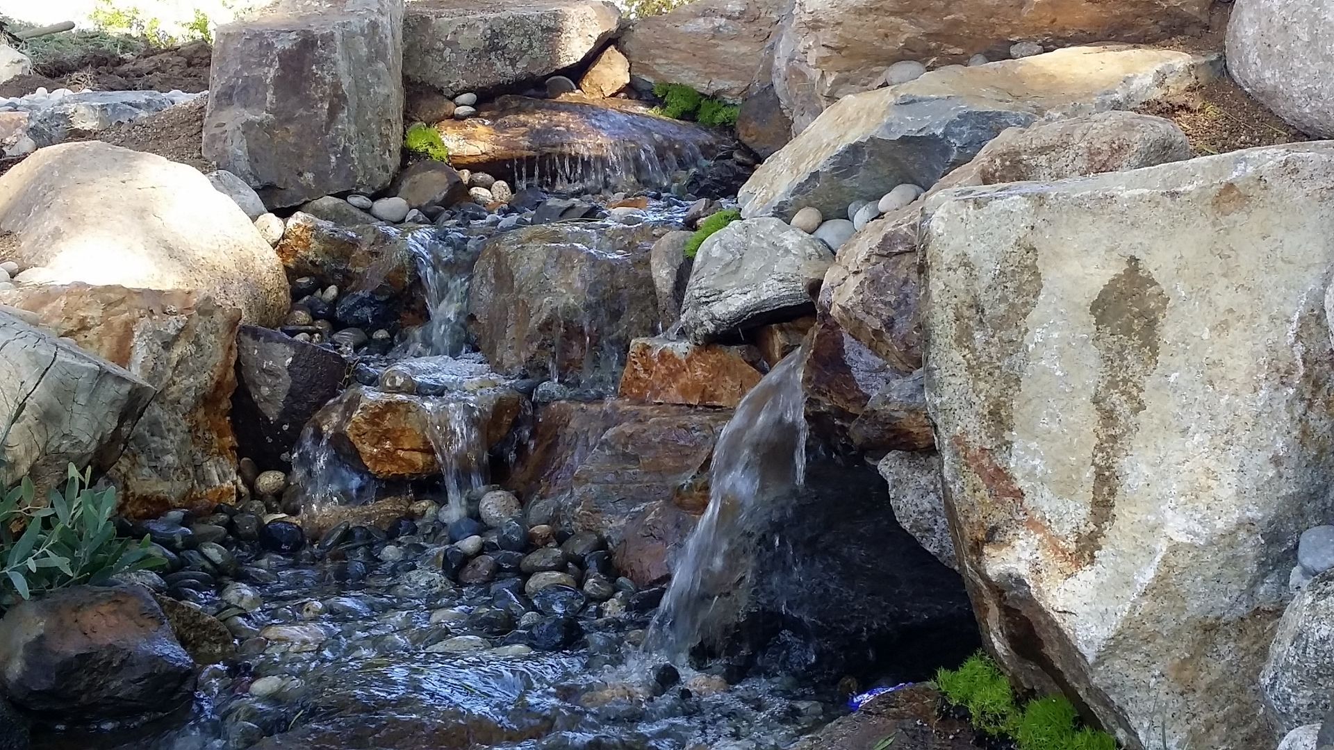 A small waterfall is surrounded by rocks and plants.