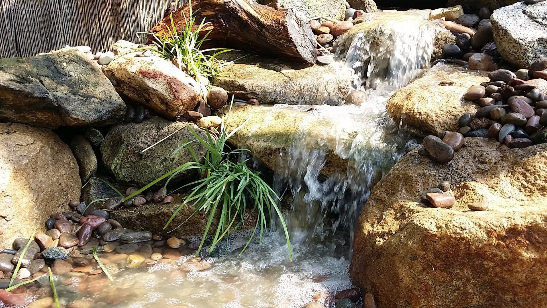 A small waterfall is surrounded by rocks and grass.