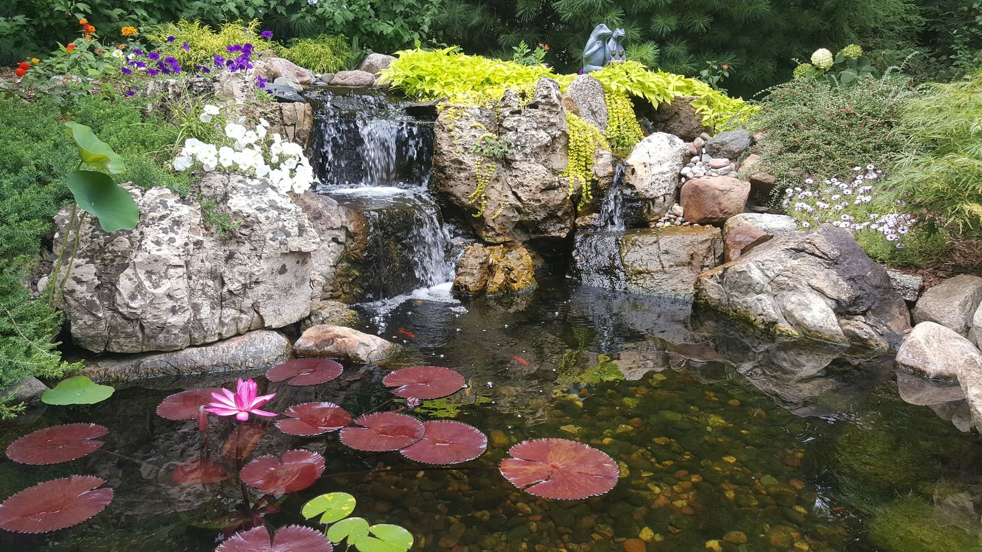 A pond with water lilies and a waterfall in the background