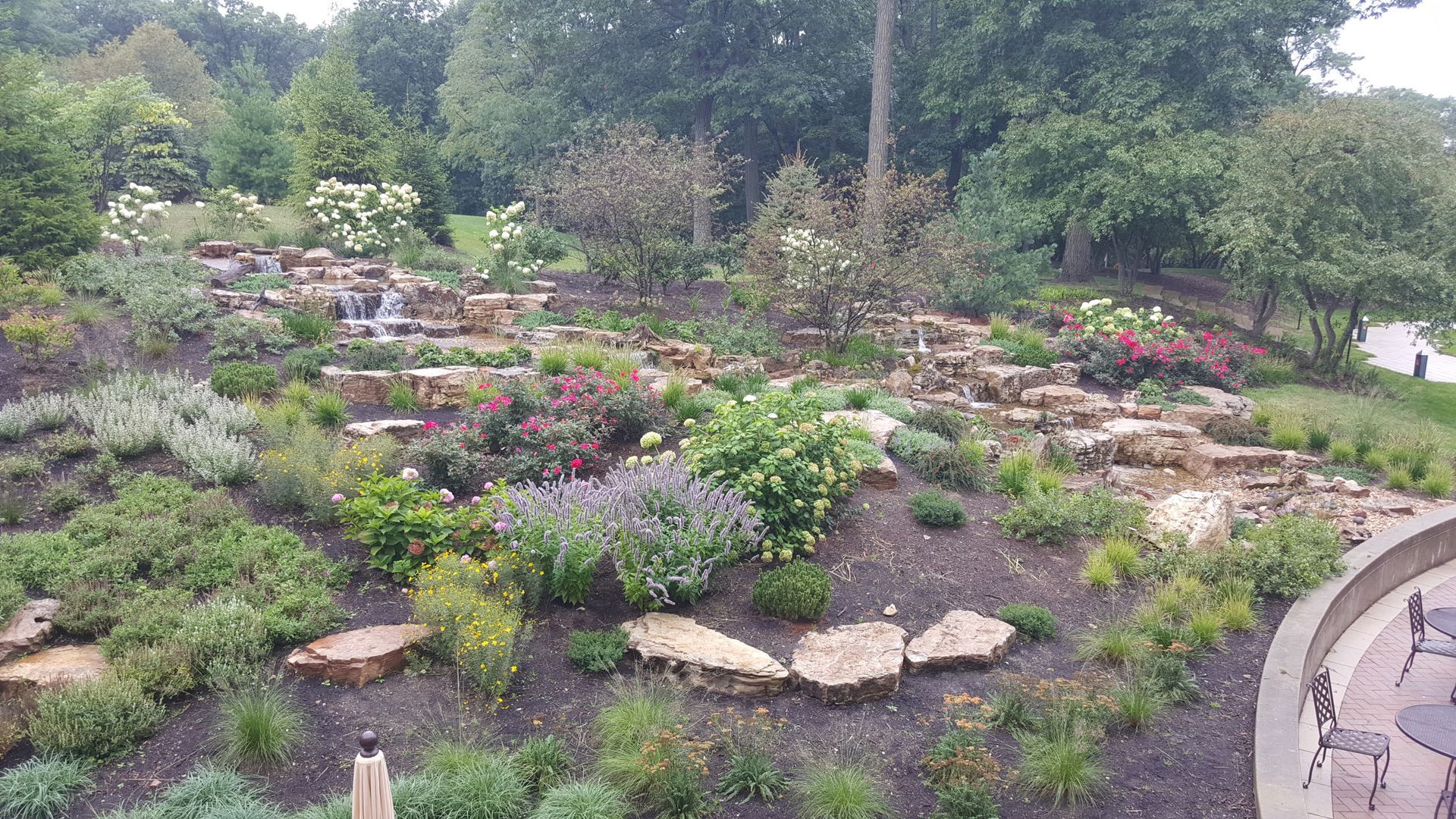 A large rocky hillside filled with lots of plants and trees.