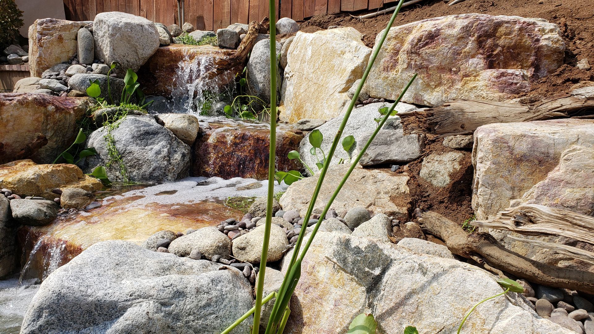 A waterfall is surrounded by rocks and plants in a garden.