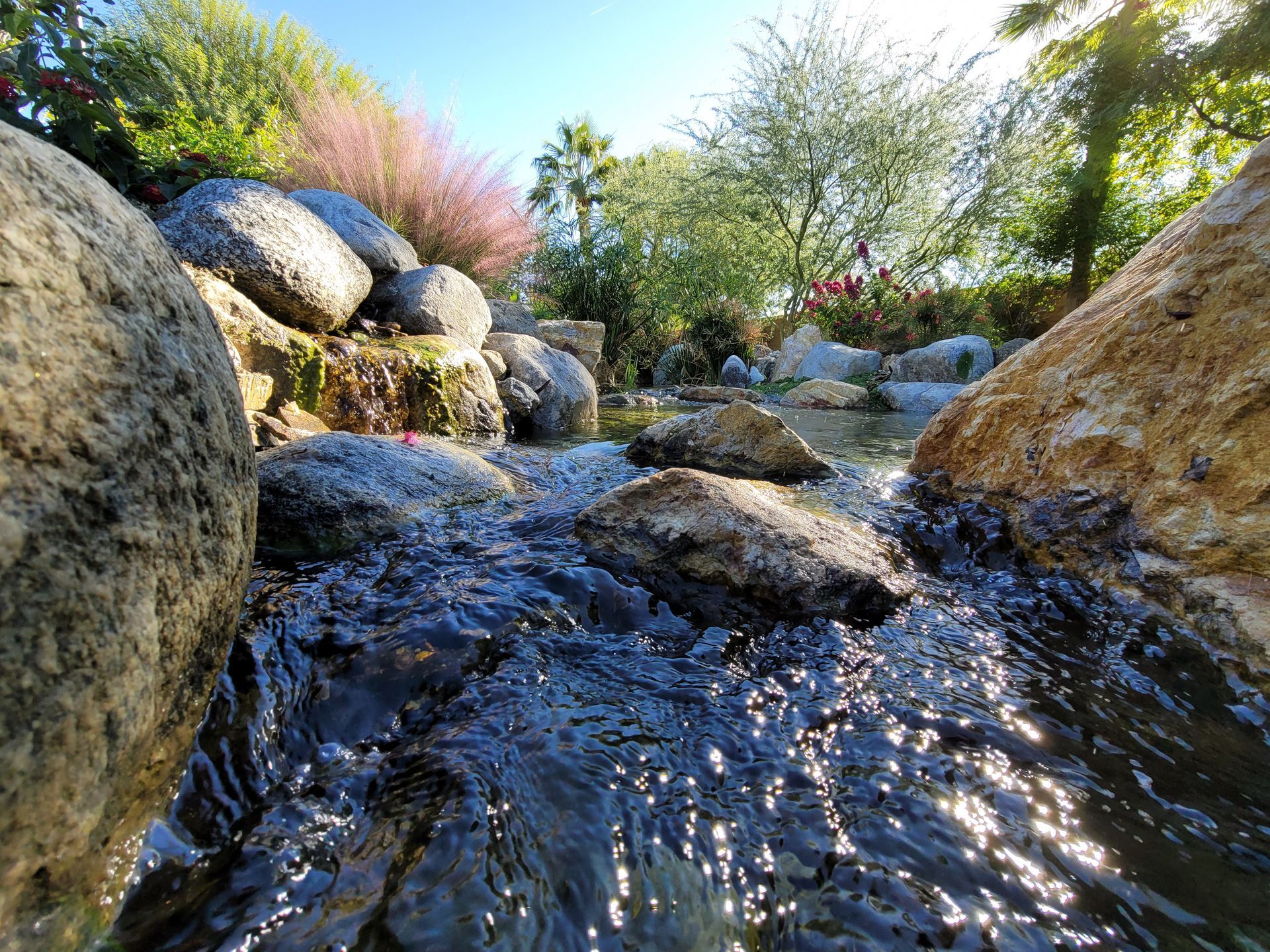 A river flowing through a rocky area with trees in the background.