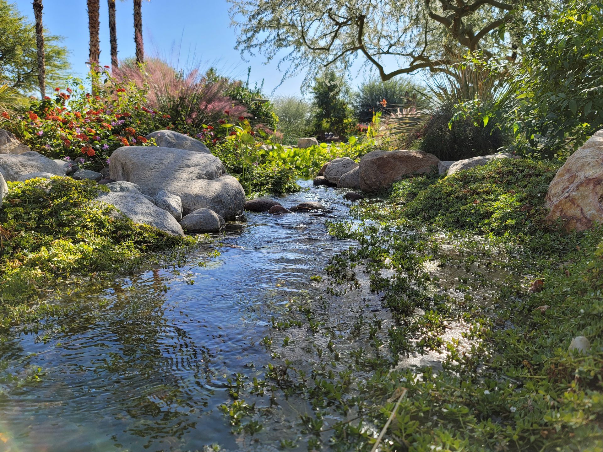 A small stream running through a garden surrounded by rocks and trees.