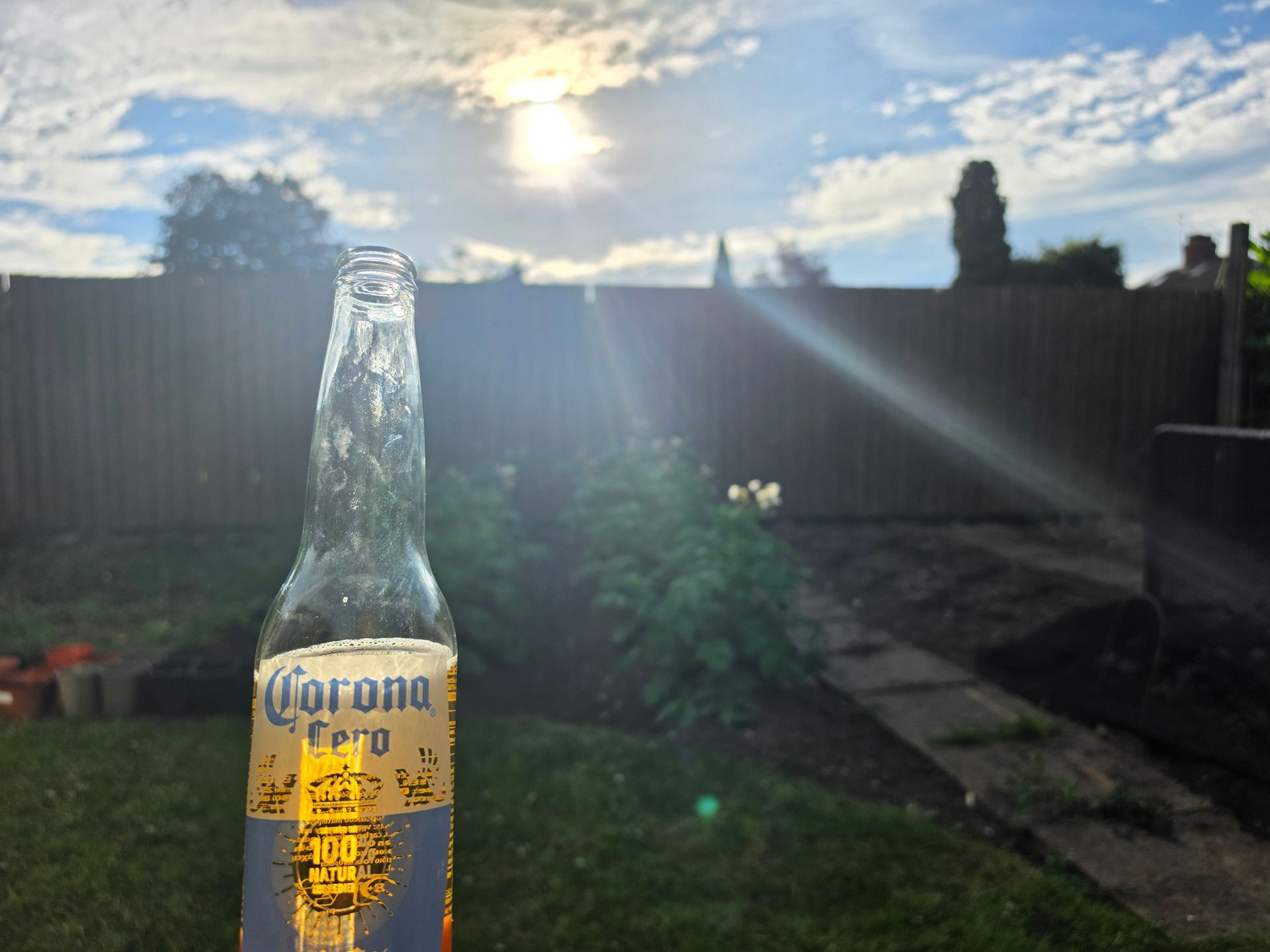 Corona Cero zero-alcohol beer bottle held against a sunny UK garden backdrop with sunlight flare 