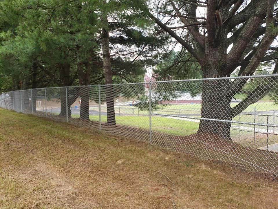 Chain Link Fence in Front of Trees