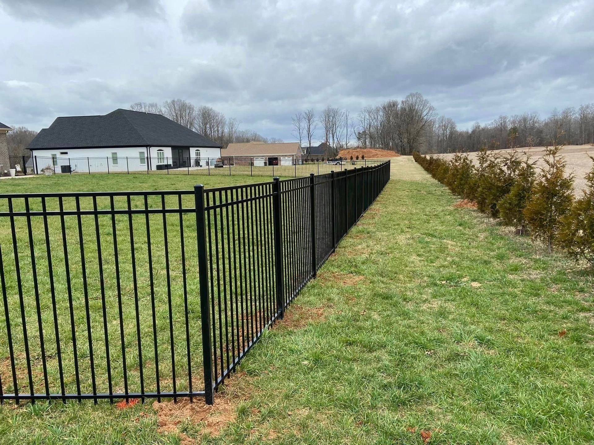 aluminum fence at back of property