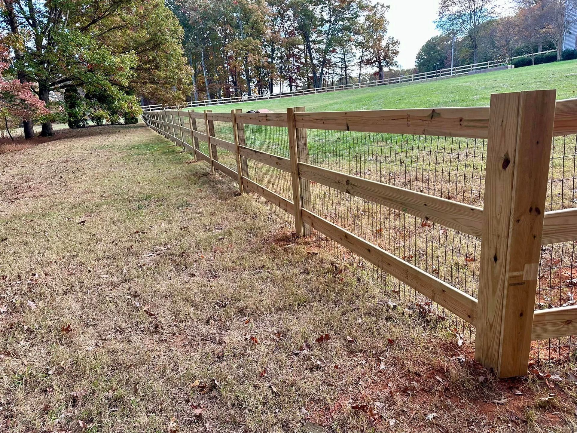 wood fencing with wire fencing