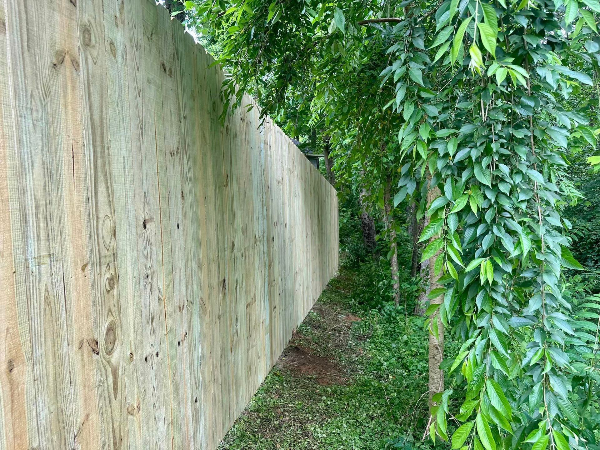 new wood fencing