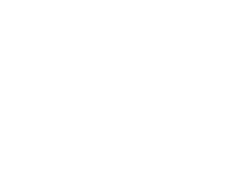 Martinsville Speedway logo
