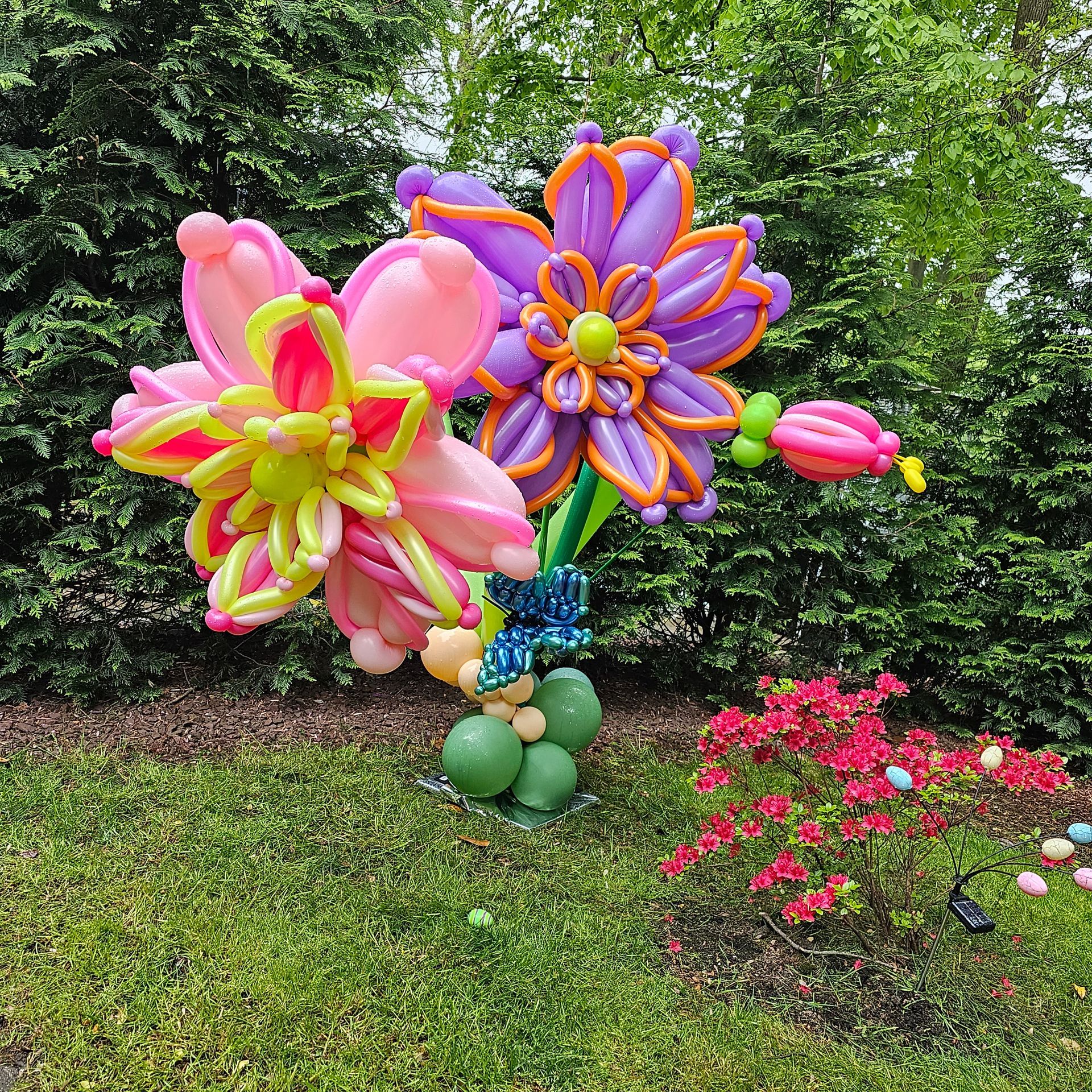 Balloon flowers: pink and purple blooms with green stems, resting on a green balloon base, set in a garden.