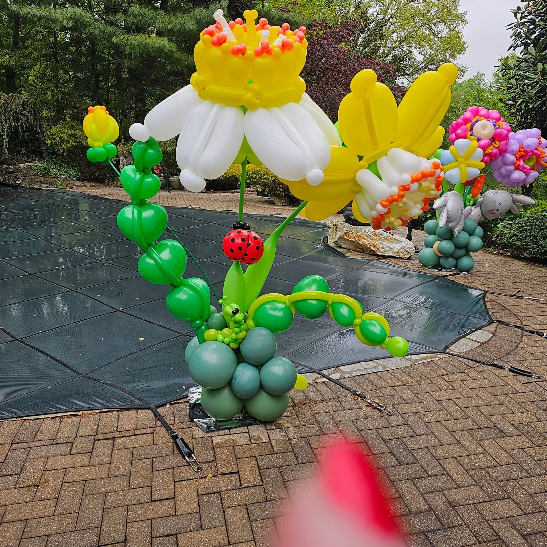 Balloon flowers: white, yellow, green, and pink. A ladybug on a green vine. Outdoors near a pool.