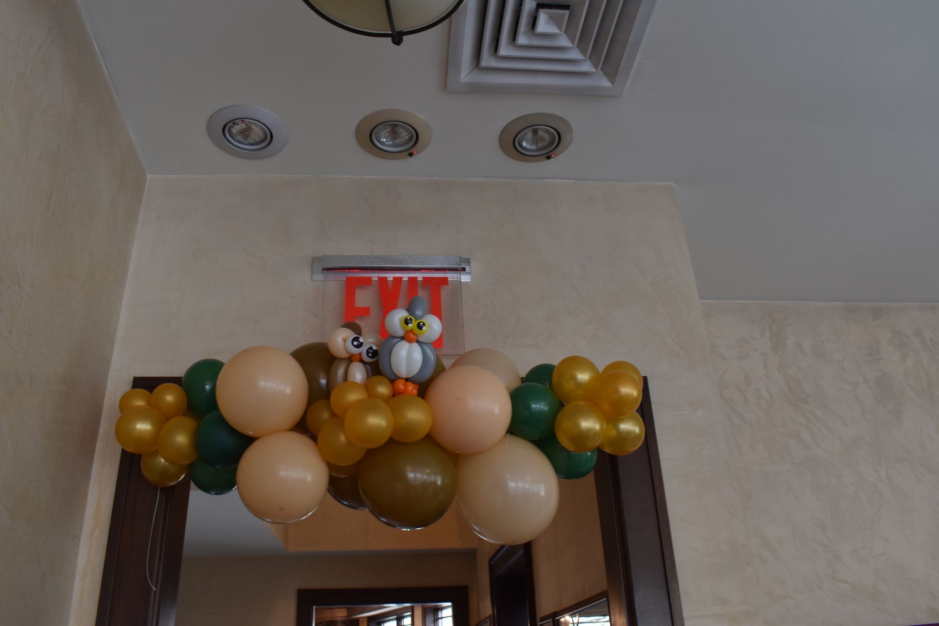 Balloon arch with owl decorations above an 