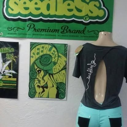 Mannequin wearing a gray shirt and teal pants, with art and a Seedless banner in the background.