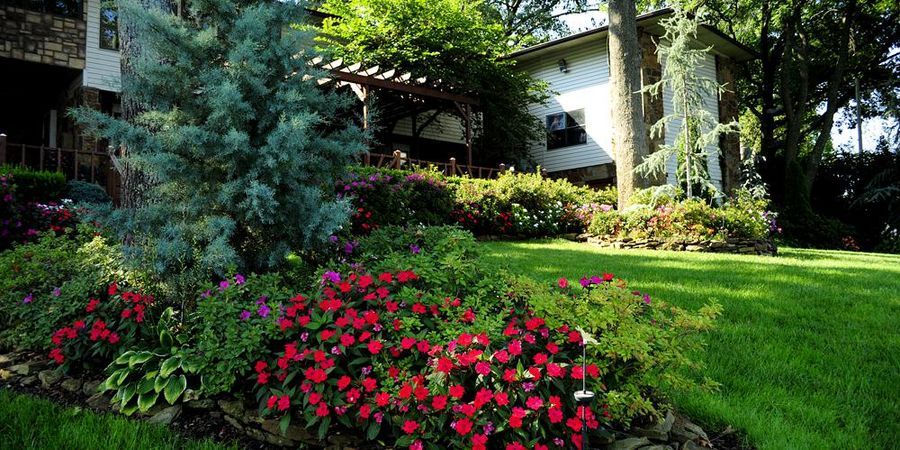 dream catcher point yard