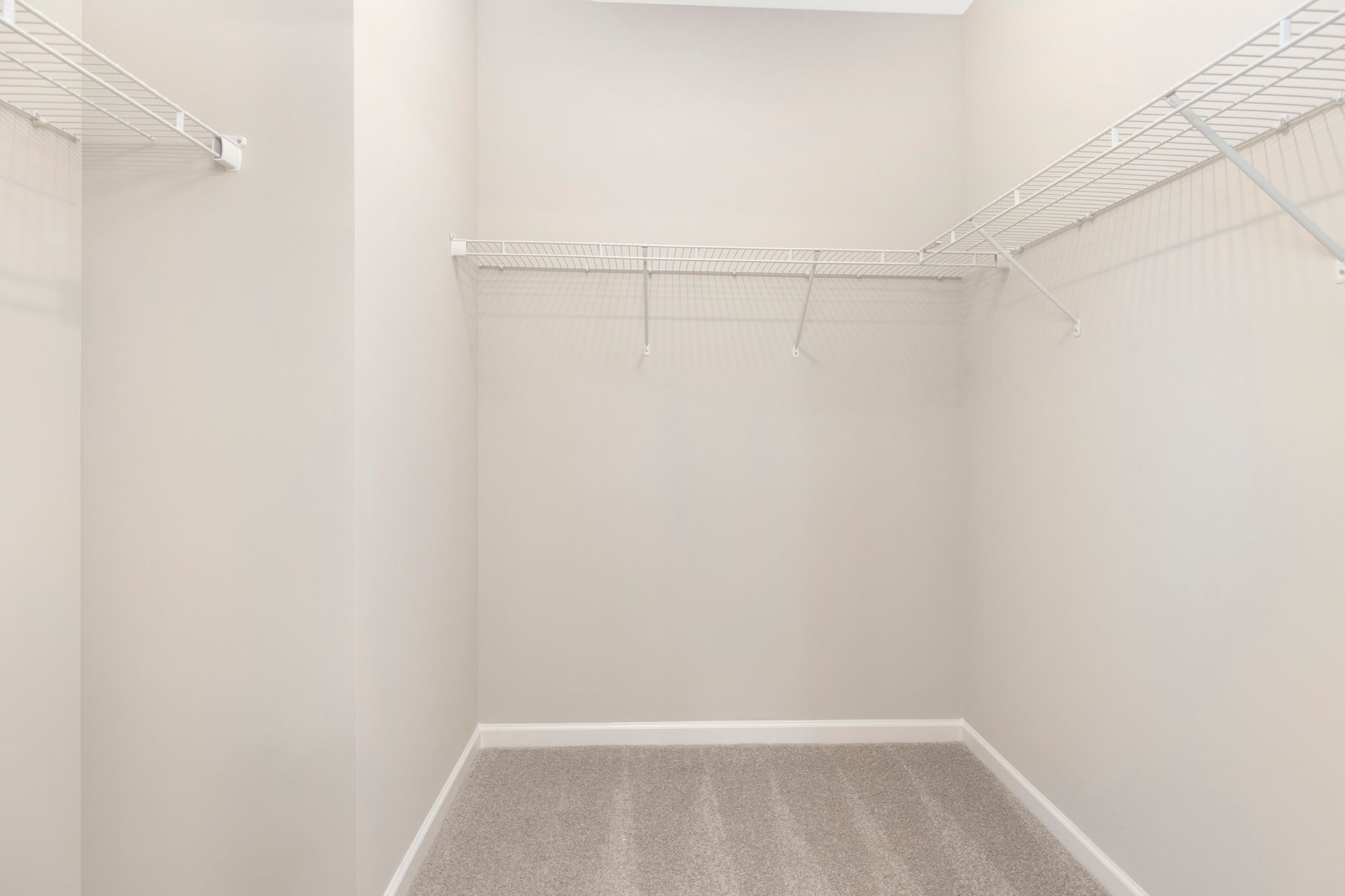 An empty walk in closet with a carpeted floor and wire shelves.
